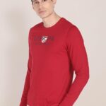 U.S. POLO ASSN. Men's Cotton Regular Fit T-Shirt